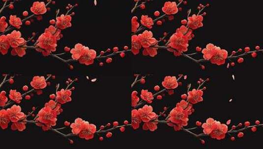 红色梅花特写素材高清在线视频素材下载