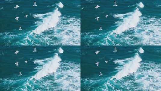 海面上飞翔的海鸥与浪花高清在线视频素材下载