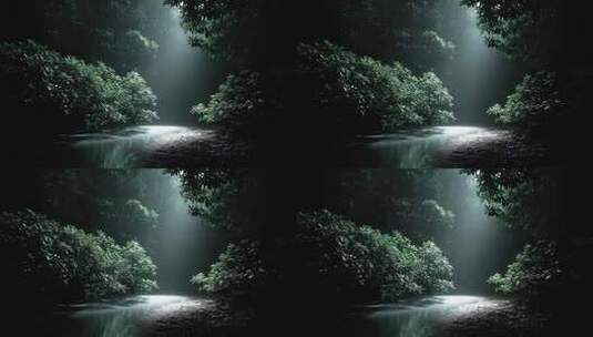 幽静森林月光洒在水面宁静氛围高清在线视频素材下载