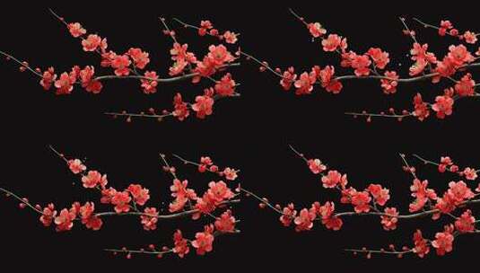 红色梅花枝干特写高清在线视频素材下载