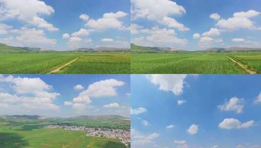 广阔田野蓝天白云自然景观高清在线视频素材下载