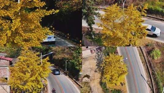 汽车从银杏树下驶过的画面高清在线视频素材下载