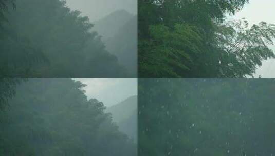 雨中山林云雾缭绕茂密竹林枝叶繁茂景象高清在线视频素材下载