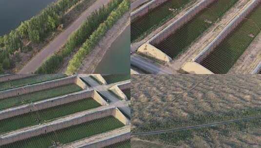 宁夏灵武白笈滩温室大棚航拍5高清在线视频素材下载