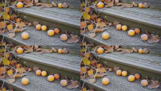 覆霜果实与落叶的台阶景象高清在线视频素材下载