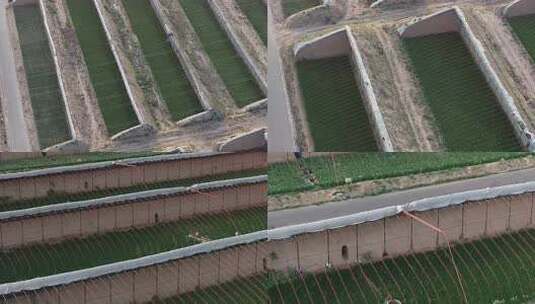 宁夏灵武白笈滩温室大棚航拍6高清在线视频素材下载