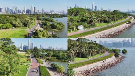 深圳湾公园绿道骑行航拍【原创素材】高清在线视频素材下载