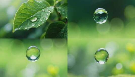 植物生长种子希望励志种子发芽高清在线视频素材下载