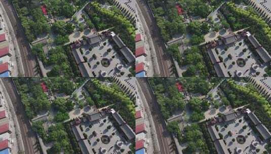 洪洞大槐树 古树高清在线视频素材下载