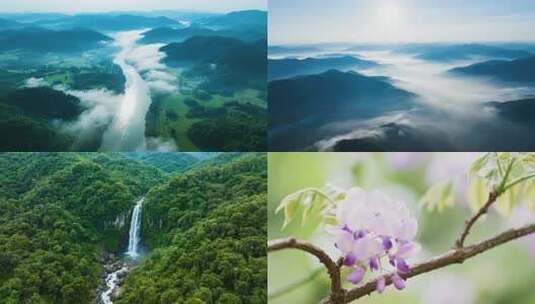 大自然的和谐乐章：山间日落与生命初醒高清在线视频素材下载