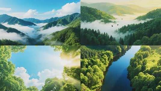 河流穿过云雾森林的空灵日出景致高清在线视频素材下载