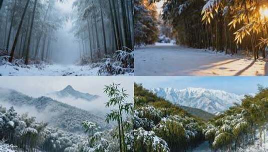 竹林雪景 立冬小寒大寒冬至竹海风光高清在线视频素材下载