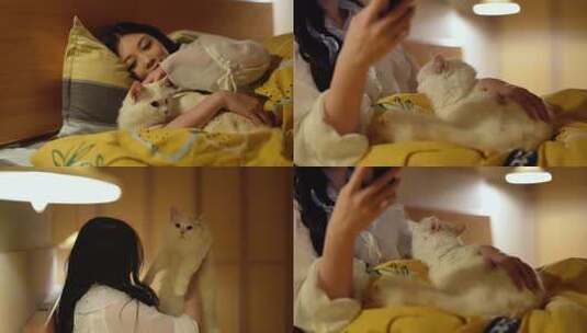 猫猫宠物夜晚陪伴主人高清在线视频素材下载