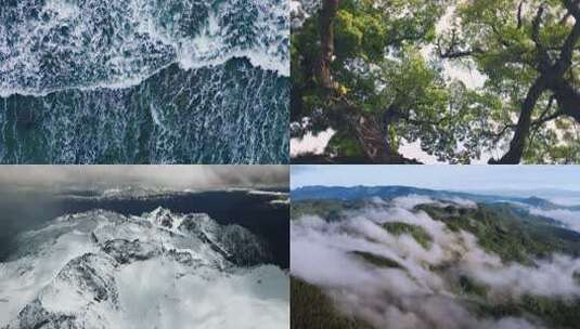 自然风光情绪意境片头快切空镜高清在线视频素材下载