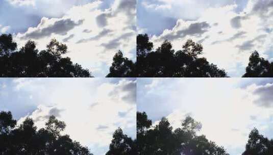 天空阳光透过树叶间隙逆光树林剪影阳光照射高清在线视频素材下载