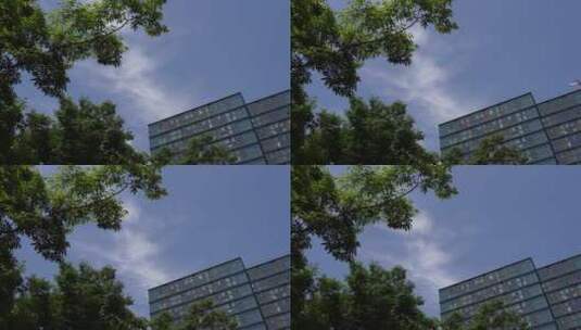 【延时】城市风景蓝天白云飞机飞过高清在线视频素材下载