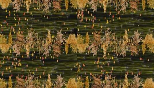 秋色全息桌面 金色花朵 粒子穿梭 黄色枫叶高清在线视频素材下载