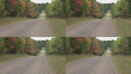 秋天的森林道路高清在线视频素材下载