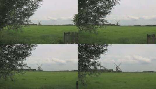 荷兰的草地和风车高清在线视频素材下载