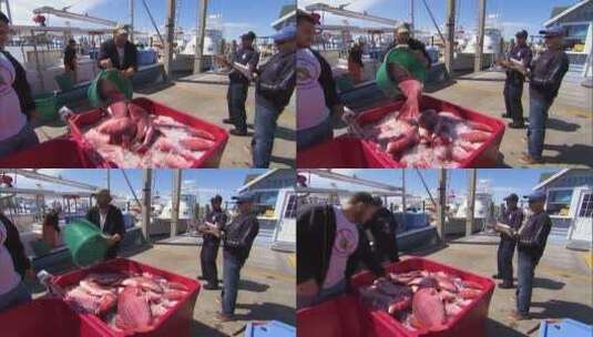 商业渔民将捕获的北方红鲷装上渔船高清在线视频素材下载