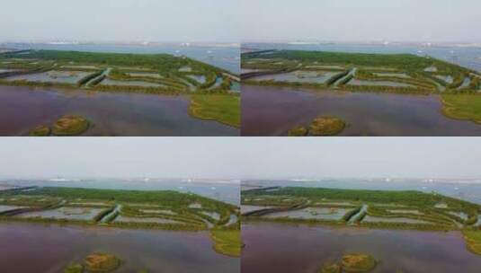 南方湿地航拍高清在线视频素材下载