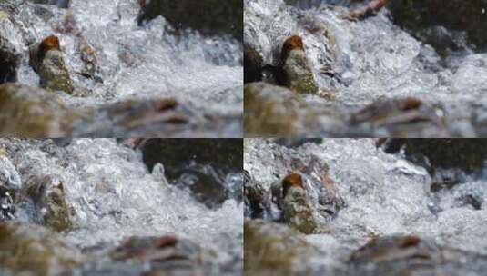 清澈的溪流水源慢镜头高清在线视频素材下载