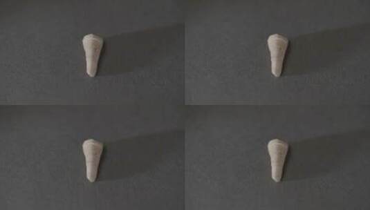 古人类牙齿化石特写LOG视频素材高清在线视频素材下载
