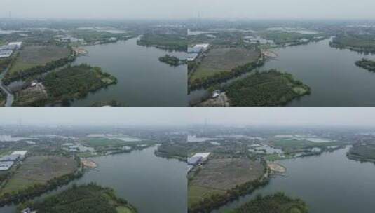 202204，杭州伯骏马会、湿地航拍高清在线视频素材下载