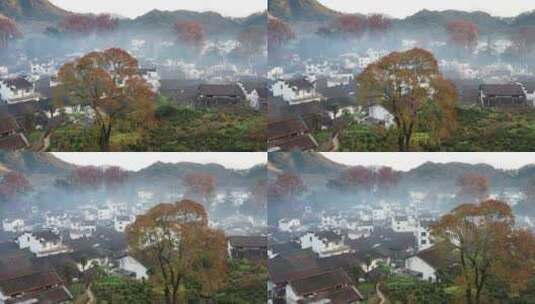 中国最美乡村婺源石城秋天的景色航拍视频高清在线视频素材下载