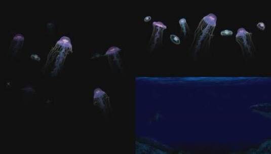 水母和鲸鱼蓝色大海大屏舞美动态素材高清在线视频素材下载
