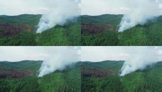 大兴安岭森林雷电火高清在线视频素材下载