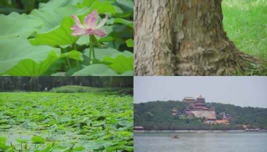 北京颐和园空镜高清在线视频素材下载