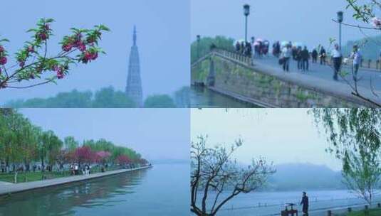 杭州西湖春天风景4K视频素材高清在线视频素材下载