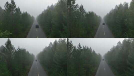 航拍晨雾迷漫的森林公路高清在线视频素材下载