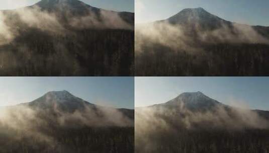 森林中的薄雾高清在线视频素材下载