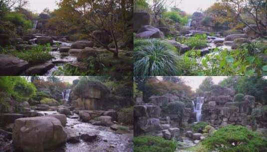 杭州西子湖畔杭州花圃园林景观4K视频合集高清在线视频素材下载