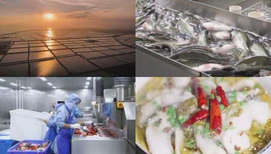 酸菜鱼生产 预制菜工厂高清在线视频素材下载