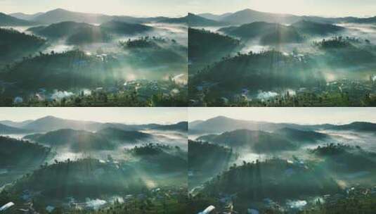 航拍云雾中的茶山村庄高清在线视频素材下载