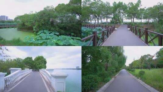 武汉江夏区藏龙岛国家湿地公园4K视频合集高清在线视频素材下载