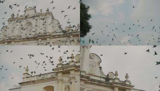 城市上空古建筑鸟飞翔高清在线视频素材下载
