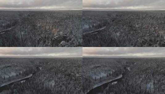 冬天的原始森林高清在线视频素材下载