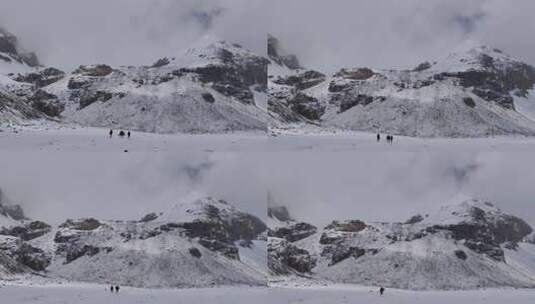 四川阿坝松潘岷山山脉雪中牵马的牧民高清在线视频素材下载