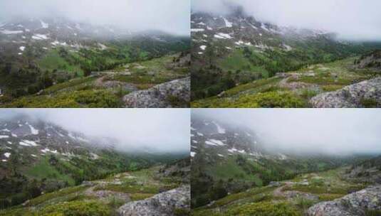 山顶高海拔森林雪山树林云雾云层飘动延时高清在线视频素材下载