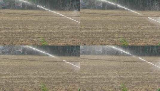农田浇水高清在线视频素材下载