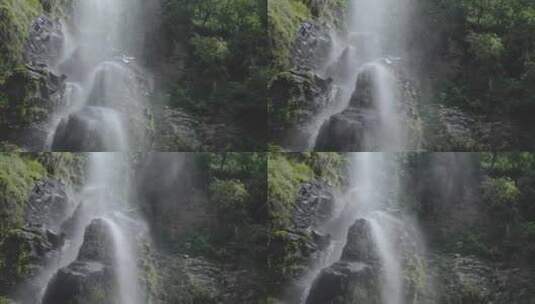 森林里的瀑布高清在线视频素材下载