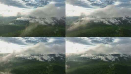 航拍大兴安岭山林云雾缭绕高清在线视频素材下载