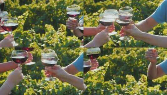 一群朋友在葡萄园的背景下用红酒碰杯。葡萄酒之旅和高清在线视频素材下载