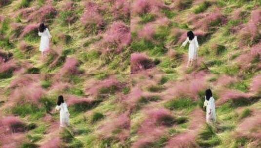 航拍秋天户外红色粉黛子草海里拍照的少女高清在线视频素材下载