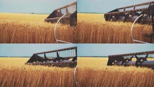 现代化农机收割小麦高清在线视频素材下载