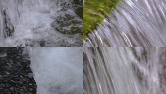 杭州植物园小溪流水特写视频素材高清在线视频素材下载